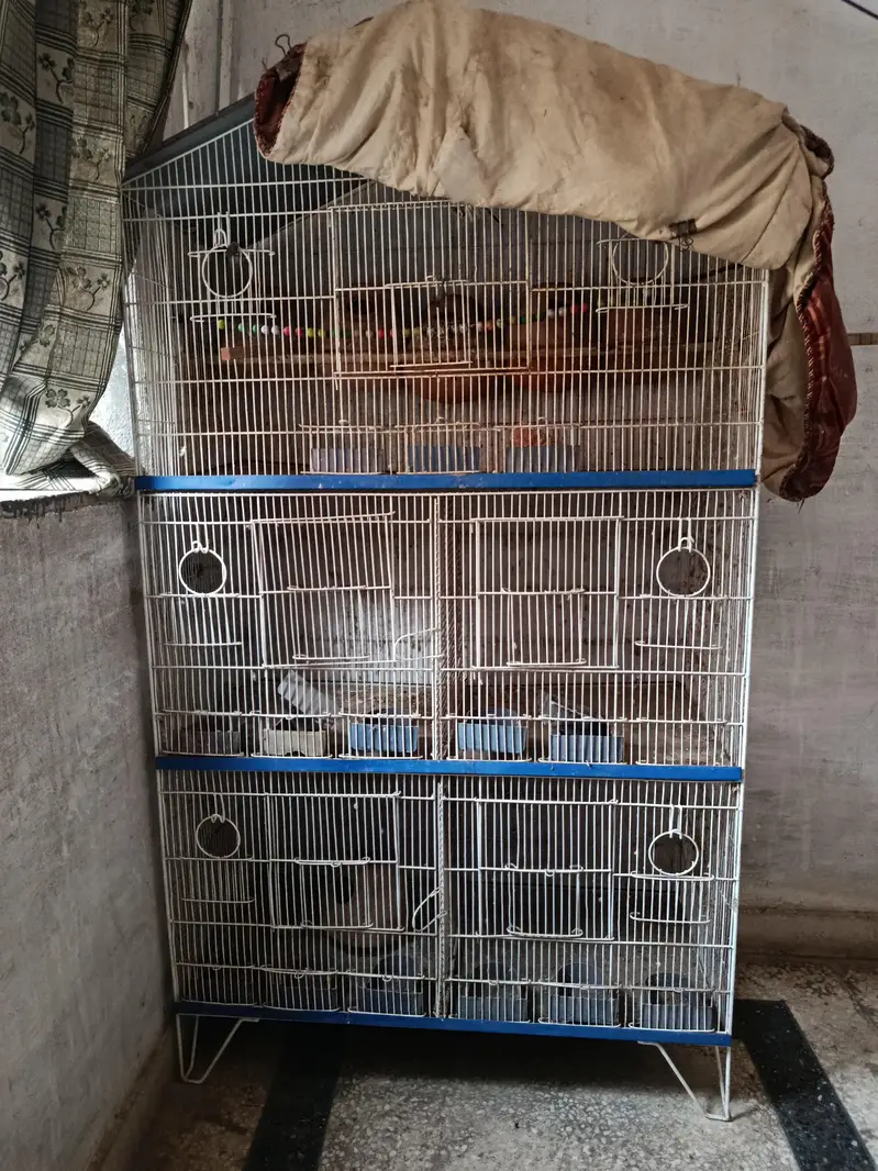 cages — photo 2