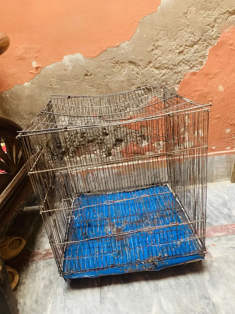 Cage for sale condition ok