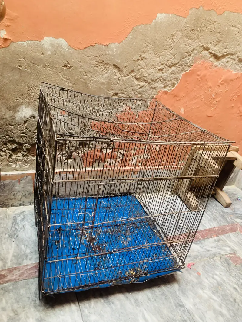 Cage for sale condition ok — photo 3