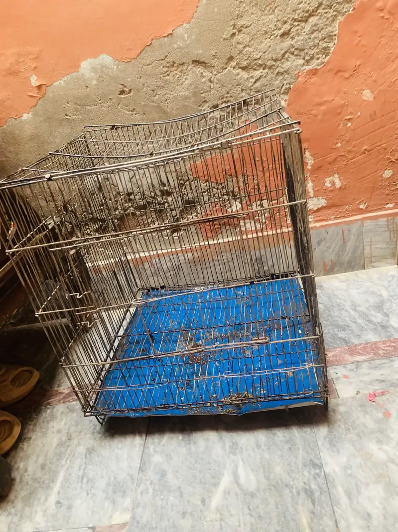 Cage for sale condition ok — photo 4
