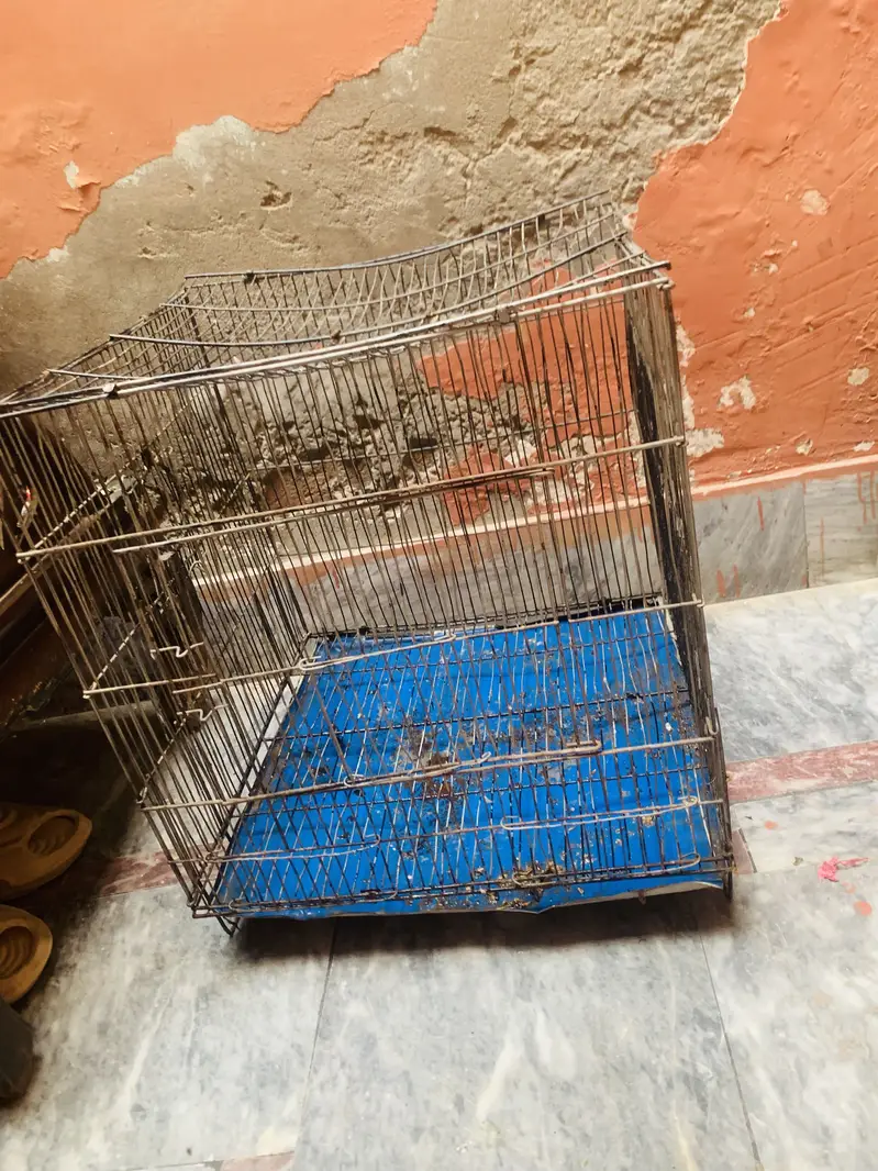 Cage for sale condition ok — photo 5