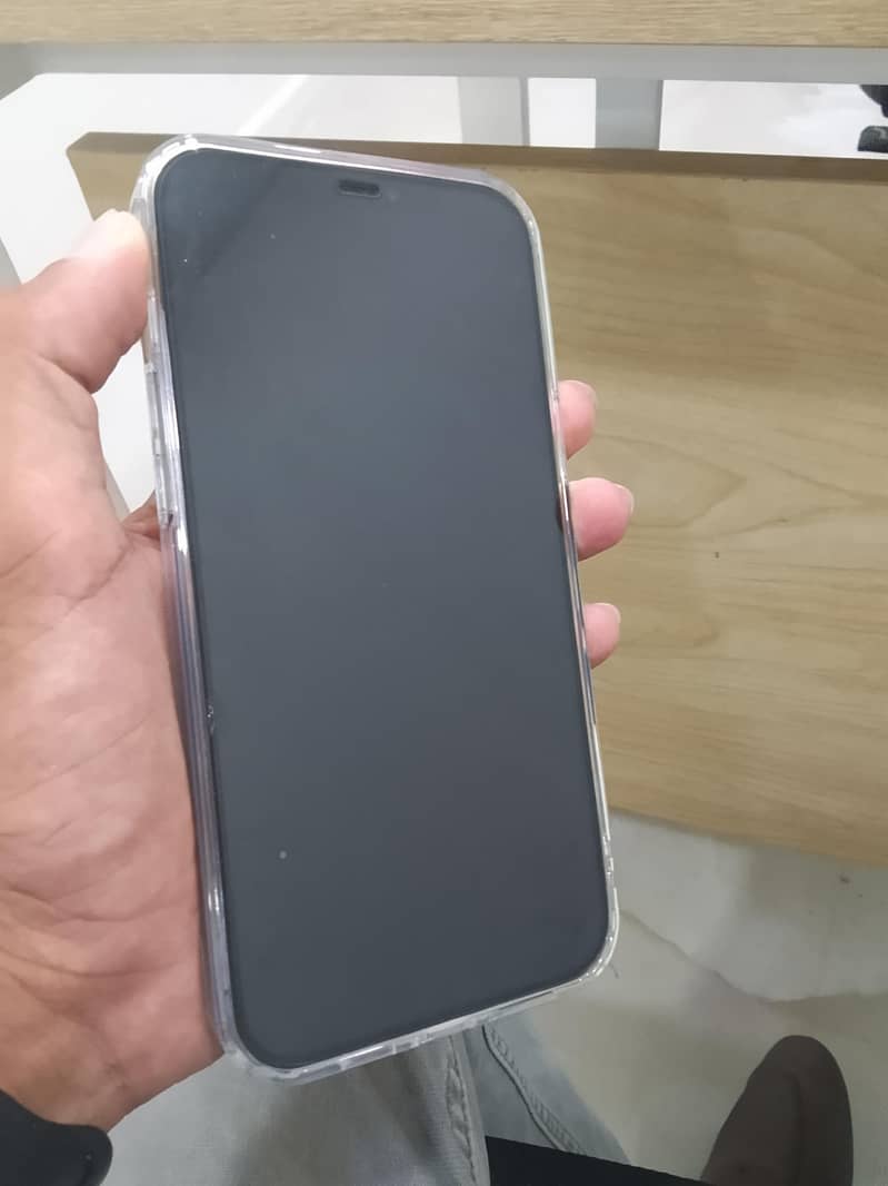 Apple iPhone 12 Pro Max 1