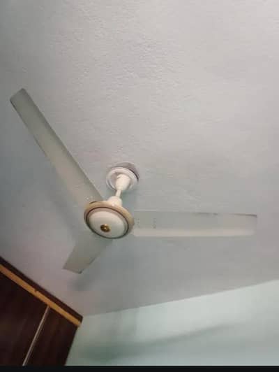 fane hy bht acha hy