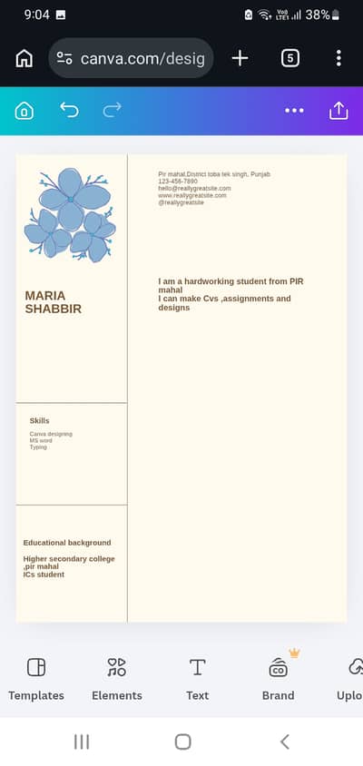 Professional Cv/ Resume making service-300Rs