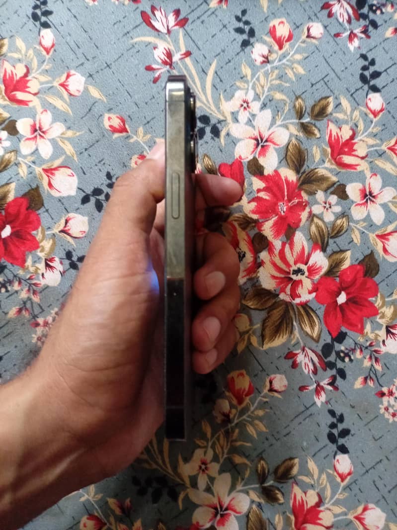 Apple iPhone 13 Pro 1