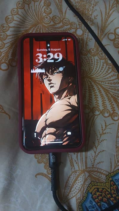 Apple iPhone X bypassed