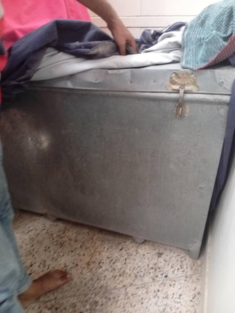 ak trunk 1