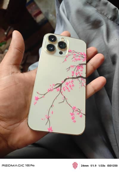 iPhone 13 Pro