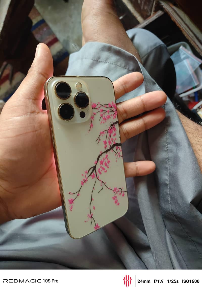 iPhone 13 Pro 3