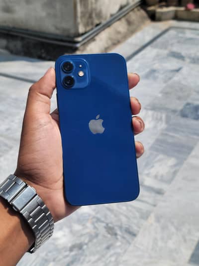 Apple iPhone 12