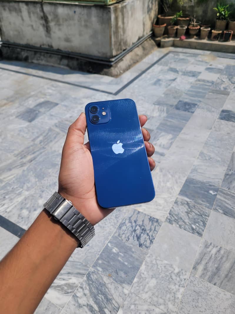 Apple iPhone 12 1