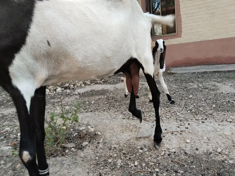 sath me bach bhi he — photo 2
