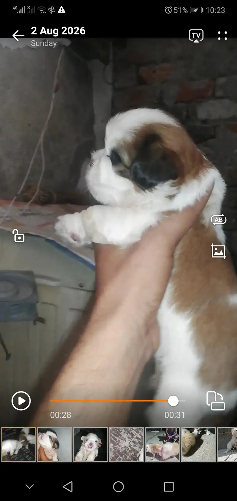 Male female — photo 3