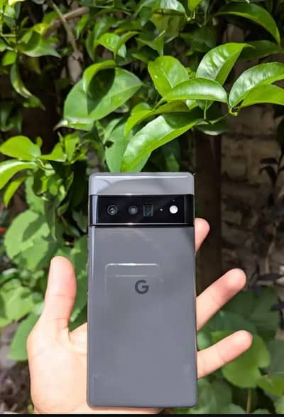 Google Pixel 6 Pro 10/10 waterpack Pta Approved