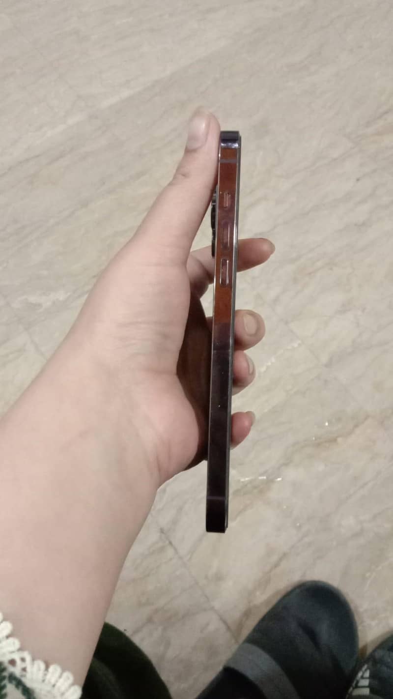Apple iPhone 14 Pro Max 3