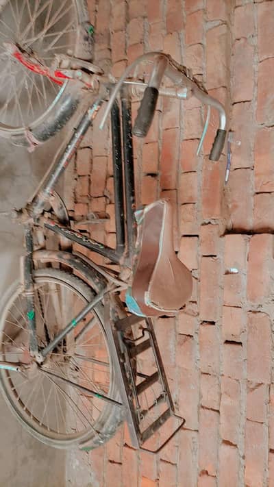 All ok cycle