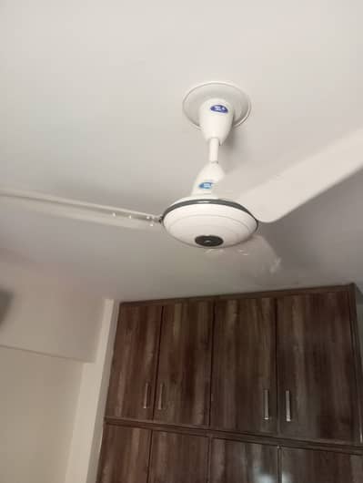 2 Used Pak fans brand in good condition for 8000 only