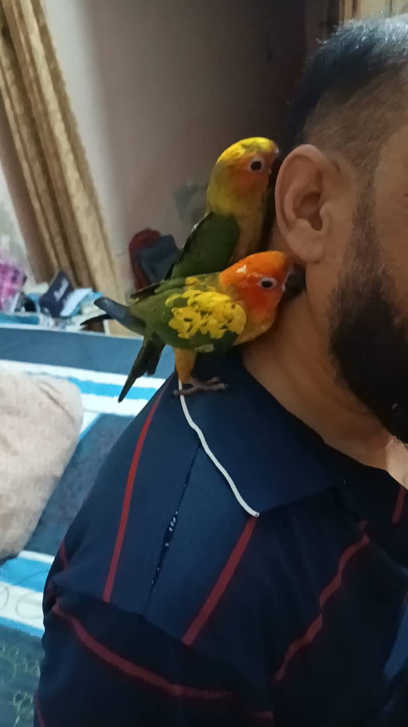 Five Month 1