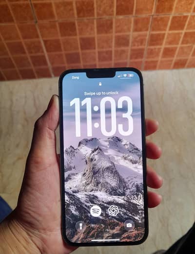 Apple iPhone 13 Pro Max Dual Pta