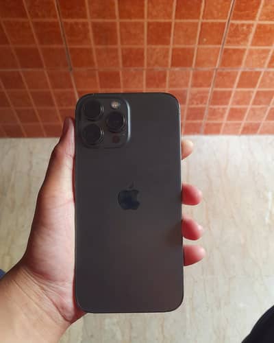 Apple iPhone 13 Pro Max Dual Pta