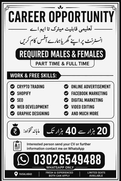 Office Staff Required – Fresh & Experienced