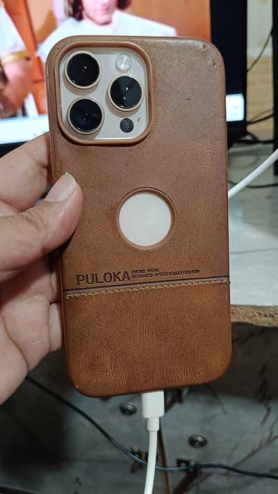Apple iPhone 16 Pro Max