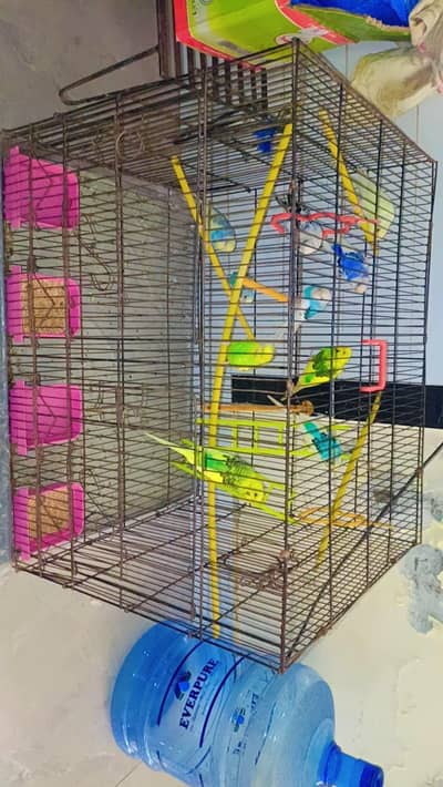 10 Peice with 2 large cage