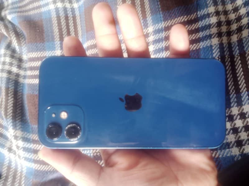 Apple iPhone 12 1
