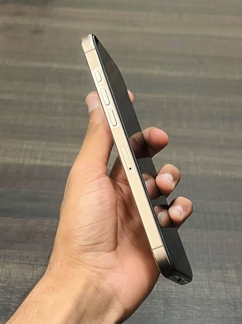 Apple iPhone 16 Pro Max 2