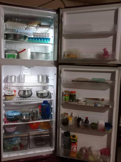 Homeage Full-Size Refrigerator - Like New Condition