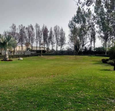 1 ACRE IDEALLY LOCATED PLOT FOR SALE