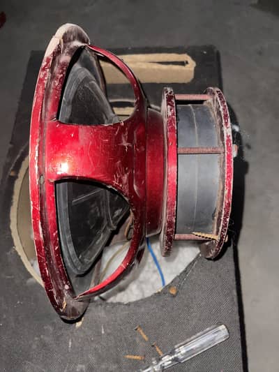 Mega kick 12 in double magnet basser / woofer