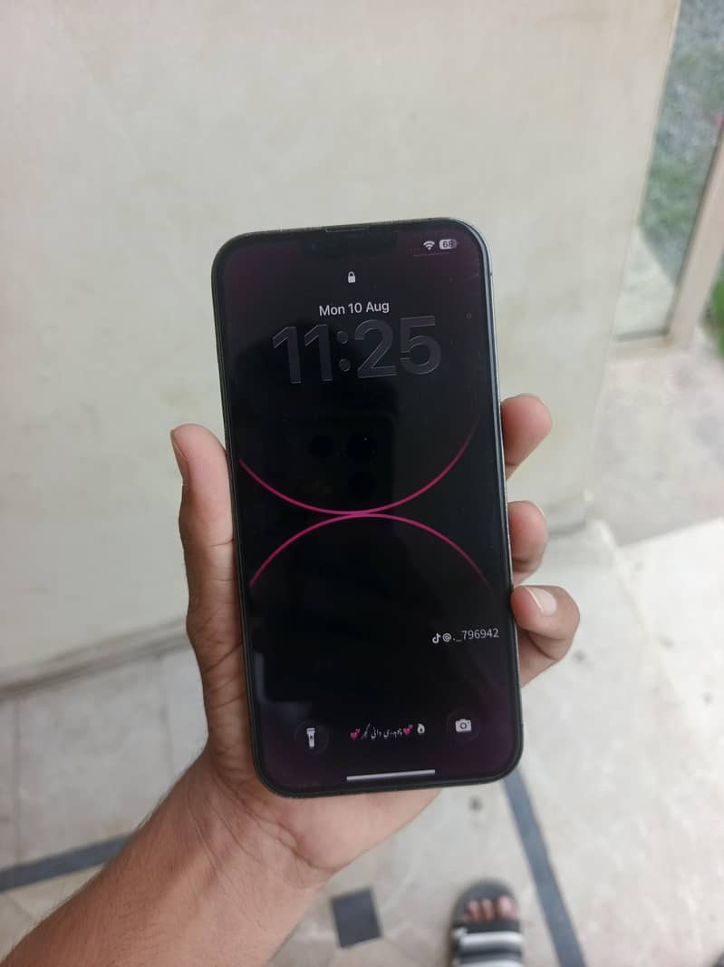 Apple iPhone 13 Pro Max 3