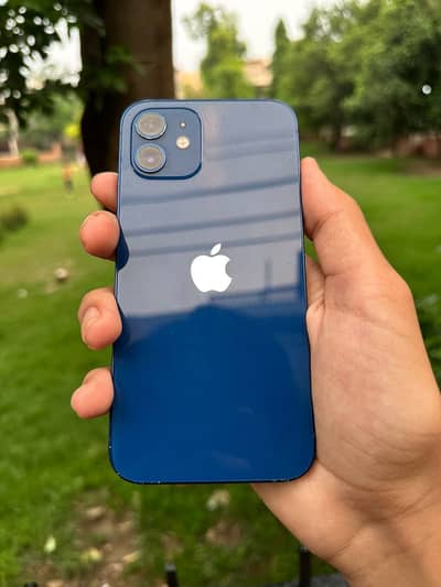 Apple iPhone 12