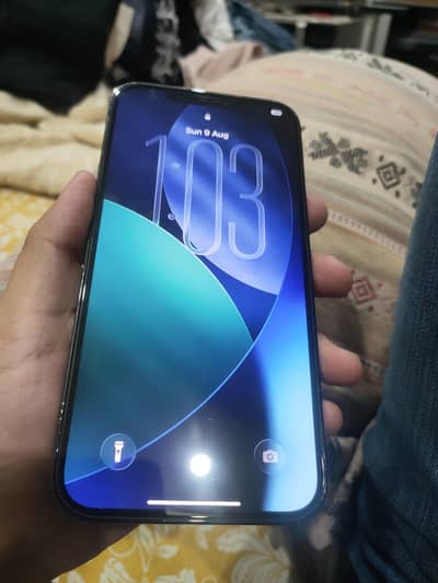 Apple iPhone 12 Pro Max