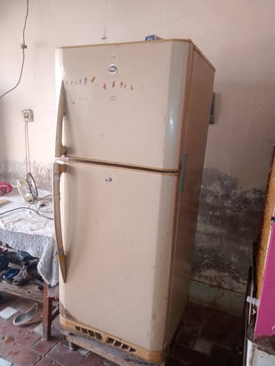 PEL Jumbo size fridge