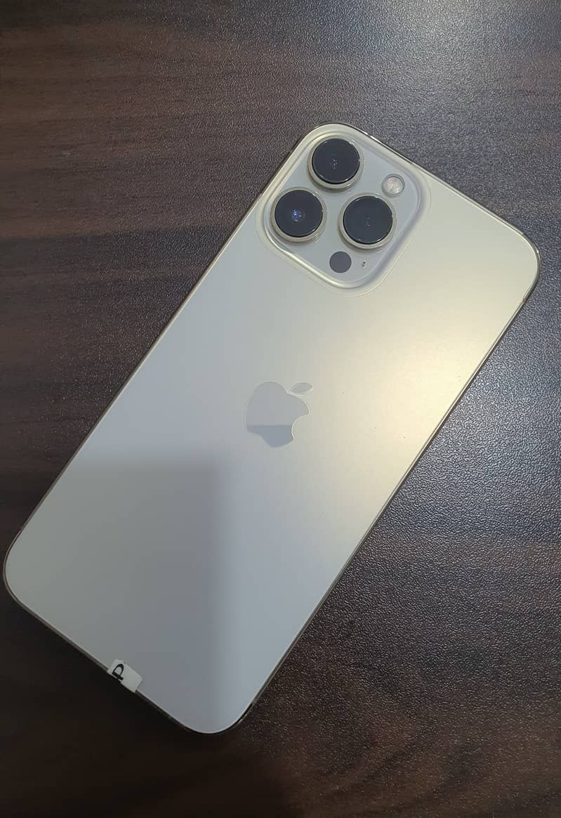 Apple iPhone 13 Pro Max 0