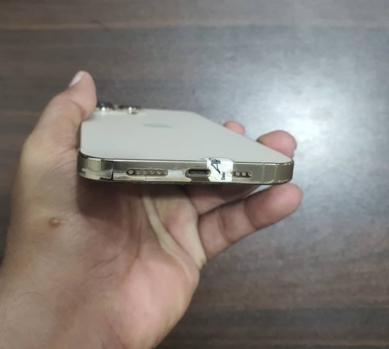 Apple iPhone 13 Pro Max 1