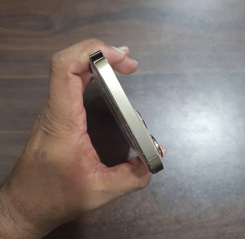 Apple iPhone 13 Pro Max 2