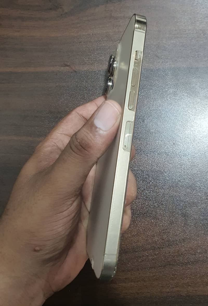 Apple iPhone 13 Pro Max 4