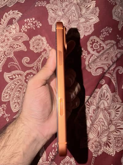 Apple iPhone 17 Pro Max Contact on Whatsapp