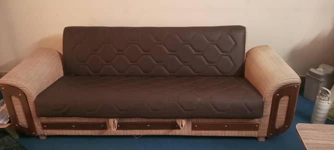 Sofa Cum Bed