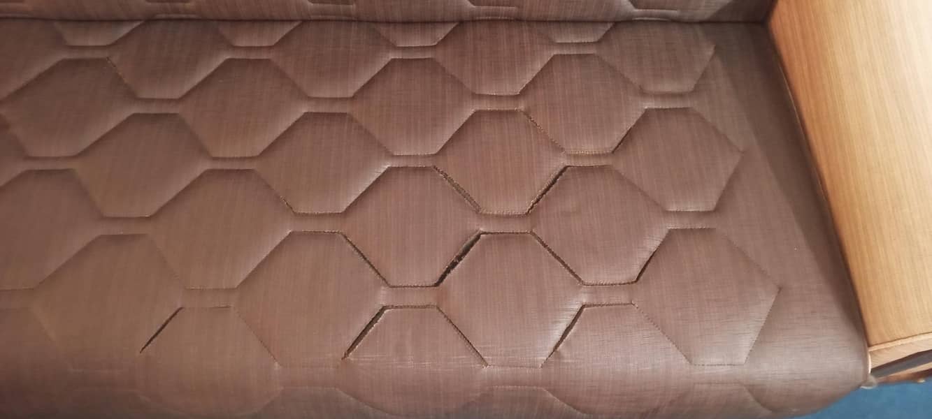 Sofa Cum Bed 4