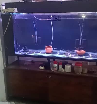 5 feet aquarium with side sump