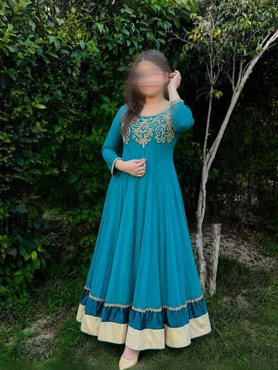 Elegant Embroidered Party Wear Dresse