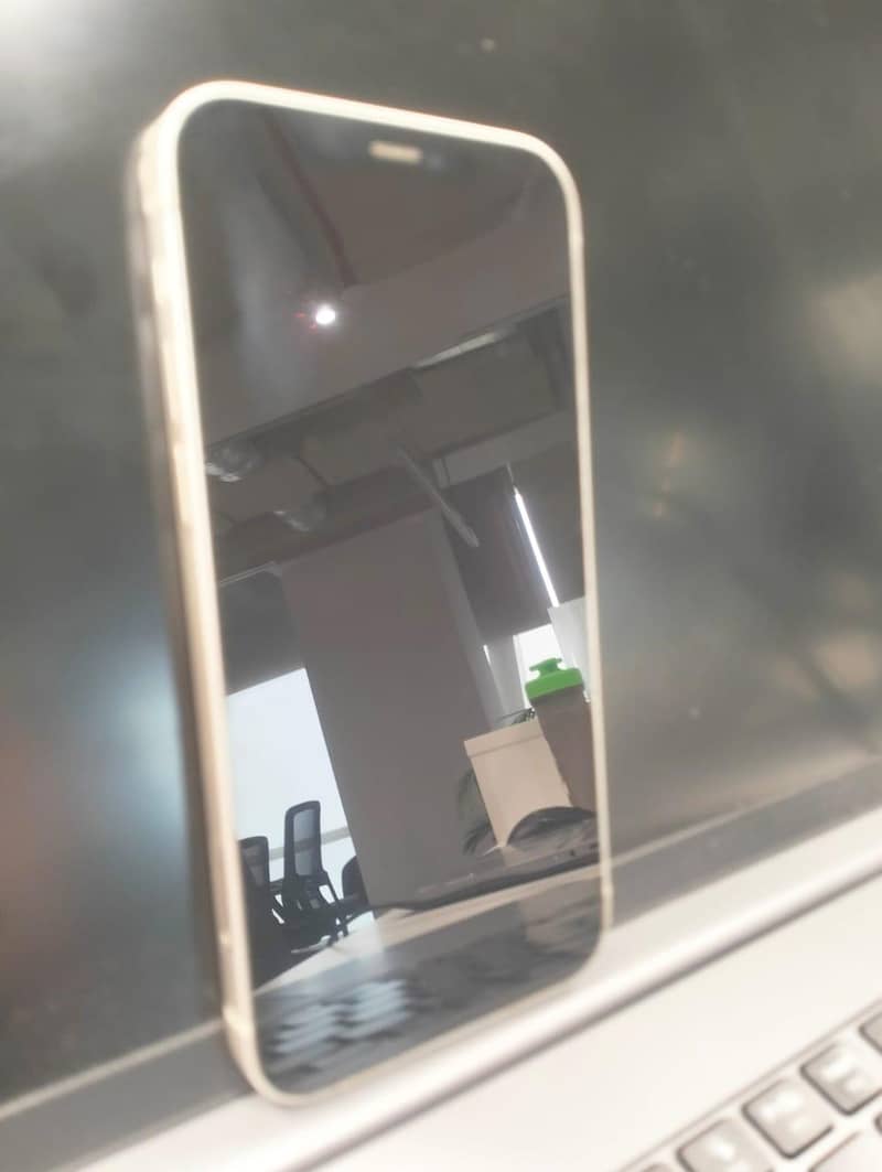 Apple iPhone 12 1