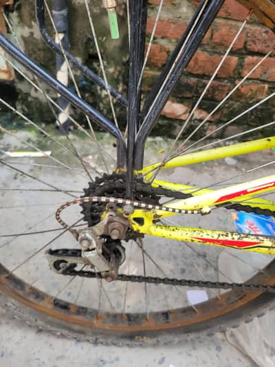 cycle for sale
