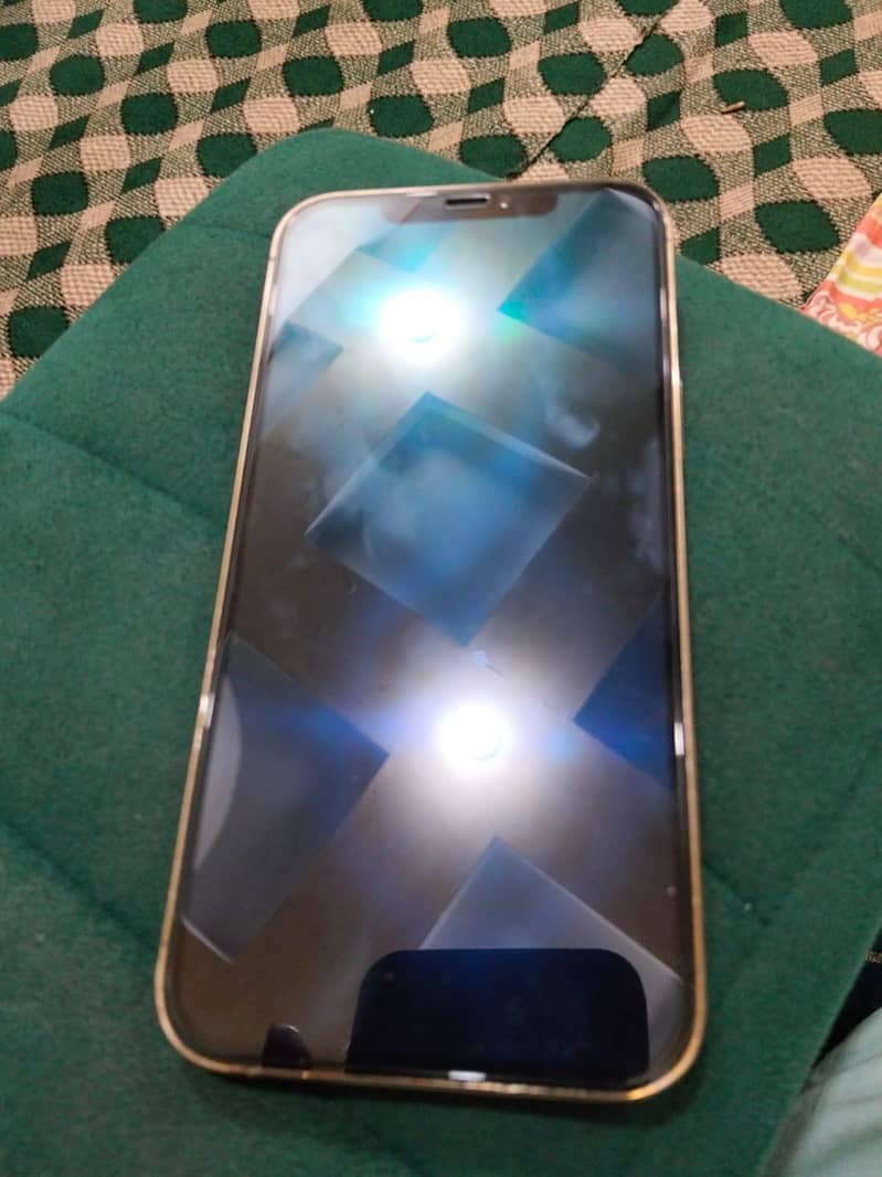 Apple iPhone 12 Pro Max 1