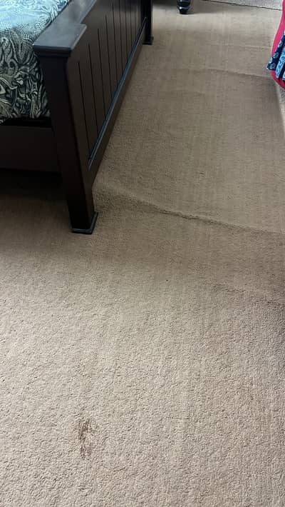 2 pieces of brown shade carpet 15x27 and 11x15