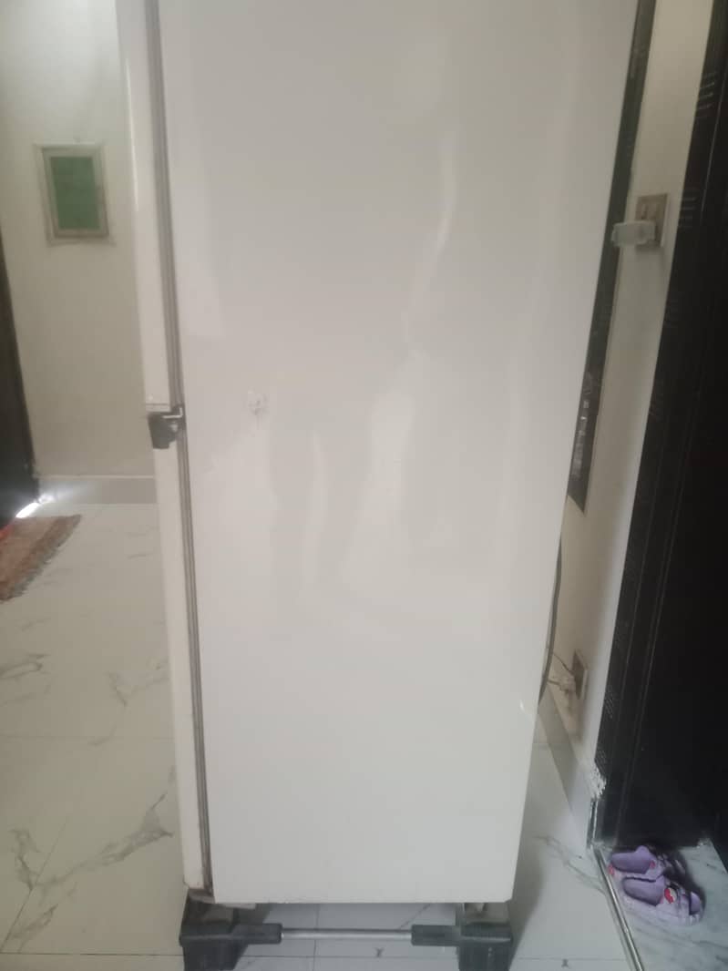 freezer 1